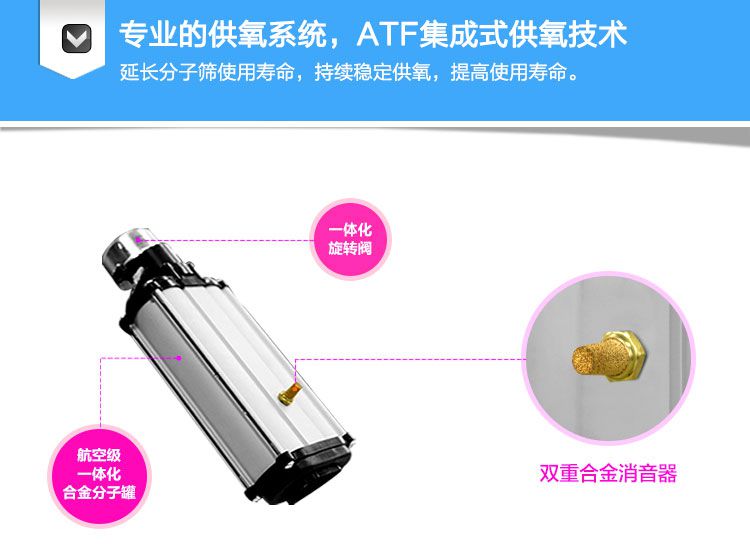 愛爾泰制氧機(jī)AT-1采用原裝進(jìn)口分子篩確保氧分離更純凈。