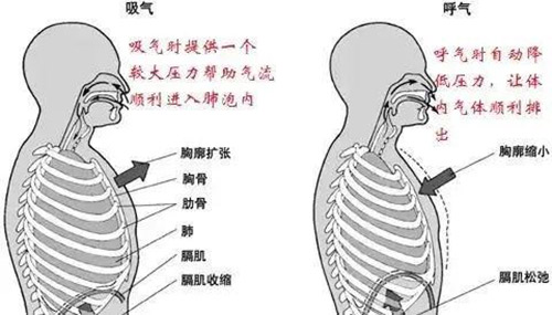 慢阻肺(COPD)患者使用家用呼吸機的好處